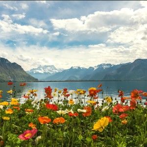 Meet your Posher, Charles